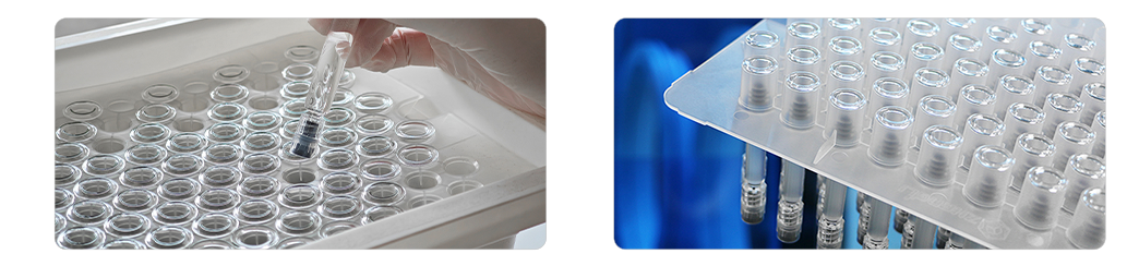 Prefilled Systems Prefilled Systems